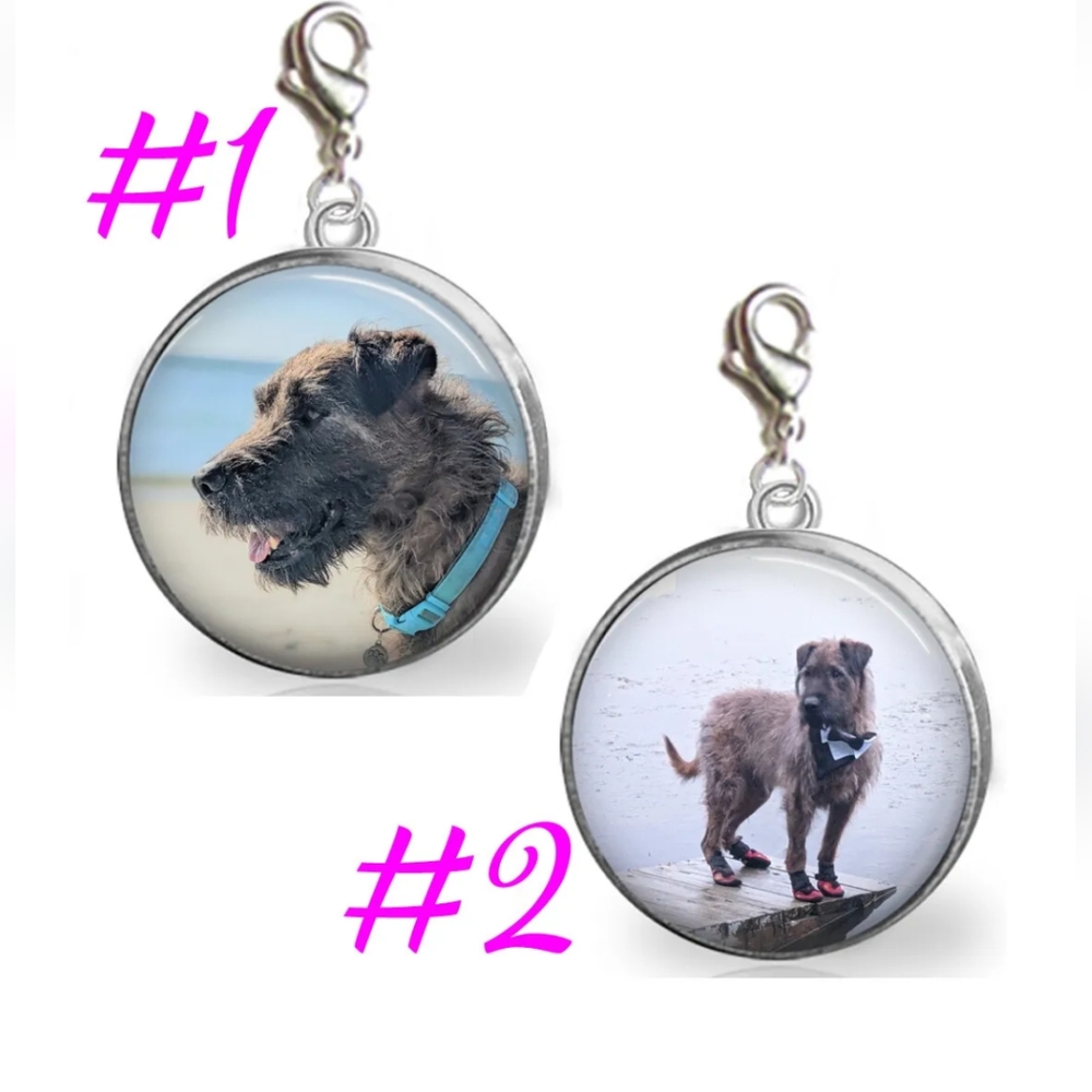 Brownie Dog Charms #fairygodmothersdog